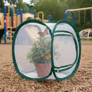 나비 곤충 채집 키우기 관찰망 소 채집통 채집망