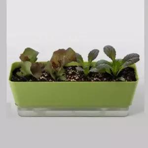 상추 텃밭 키우기 세트 식물 화분 재배기 씨앗 채소 베란다텃밭화분