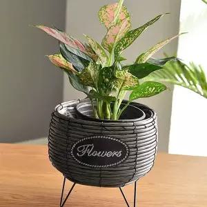 화분바구니 화분인테리어 화분가리개 화분덮개