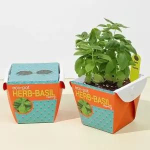 [RIZPICK]키우기쉬운식물 미니 화분 허브바질 씨앗 세트 키우기쉬운식물