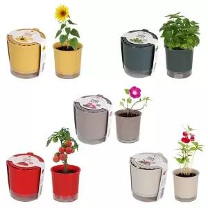 [RIZPICK]저면관수화분 식물기르기 올인원 화분 세트 키우기쉬운식물