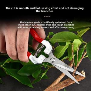 과수원 과일 따기 가위 포도 정원 과일나무 꽃 가지 접목 도구