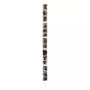 하객원피스 벨트 원피스 카라 코듀로이 단추 허리끈 2컬러 콩단추