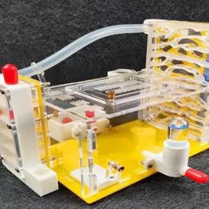 플라스틱 개미집 개미키우기 세트 곤충사육 학습 농장 과학 아크릴 키트