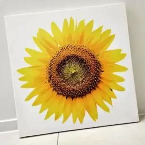 현관사진액자 돈 들어오는 해바라기 큰 꽃송이 액자