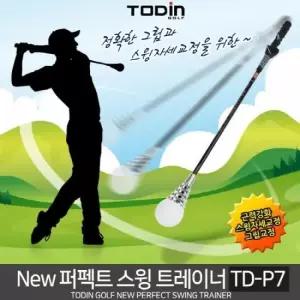 NEW 퍼펙트 스윙트레이너 골프스윙연습기 TA2265194