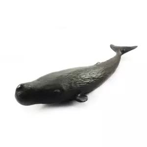 유아 동물 바다생물 향유고래 장난감 공부 피규어 4세 애니멀