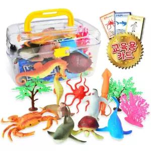 유아 해양 생태계 바다동물 장난감 SET 아들 모형완구 아이 4세