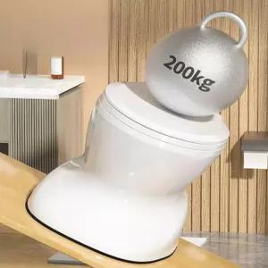 간이 변기 이동식 배변 현장 노인 실내용 화장실 접이식 어르신 수세식