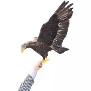 조류퇴치용 장식 농사 피규어 새쫓기 소품 조형물 독수리 모형 장난감 과수원