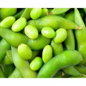 냉동 자숙 풋콩 450g 완두콩