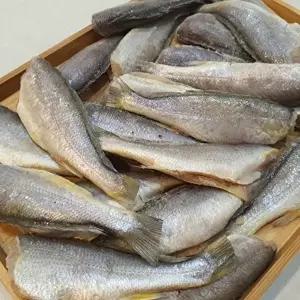 [장보리]국내산 영광 법성포 두절굴비 소 600g