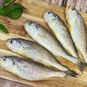 [장보리]국내산 영광 법성포 조기굴비 가정용 1kg