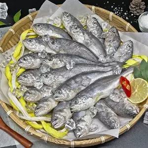 [장보리]국내산 영광굴비 선물세트 1.2kg 20미