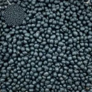 국산 쥐눈이콩 곡물 종자 품종 식물 씨앗 600g