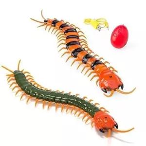 지네 RC 색상임의배송 작동완구장난감 움직이는 무선조종 곤충 어린이