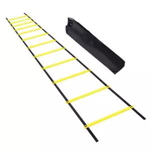 ZF 레더 스텝 F 6M