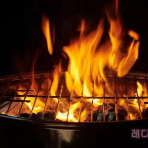 레디기어(100개)숯 차콜 참숯 장작 캠핑 훈연칩 참나무 야자 자작나무 미니 통나무 용칩 훈연 불멍 압축