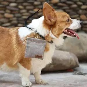 반자동 미니 산책가방 강아지산책가방