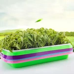 새싹재배기 무순 씨앗 보리새싹 키우는 용기 랜덤