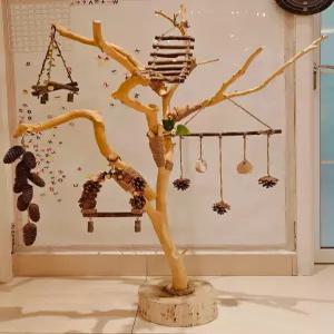 앵무새 횃대 새 스탠드 놀이터 훈련용 새집 가정용 철제