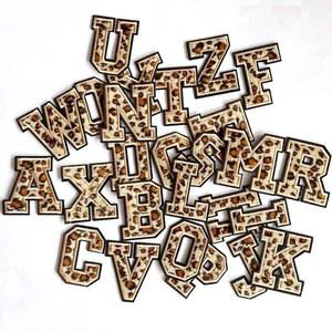 영어 문자 패치 표범 아플리케 자수 와펜 의류 스티커 DIY 이름 장식용