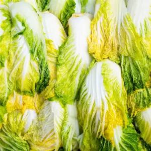 대한민국최저가 직접 키운 배추로 절인 전라도 절임배추 10KG 득템찬스