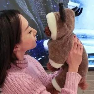 루돌프 애견 애견옷 강아지옷 사슴뿔 반려견룩 크리스마스 애견 사슴 의류