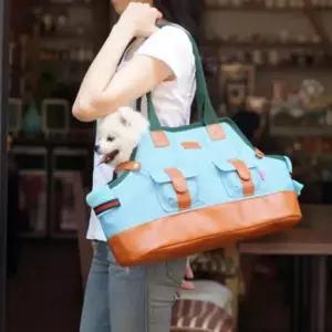 고양이산책가방 강아지 고양이 월튼 2마리 펫백 산책 이동 가방