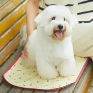 [반려] 강아지산책매트 애견피크닉매트 방수매트 휴대용