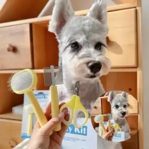 [반려] 펫브러쉬 3종세트 미용도구 발톱깎이