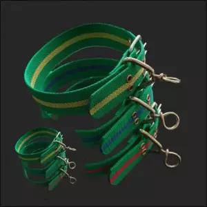 [반려] 견주산책용줄 목줄 나일론 안전개줄 초록 애완견 40mm 대형견리드줄