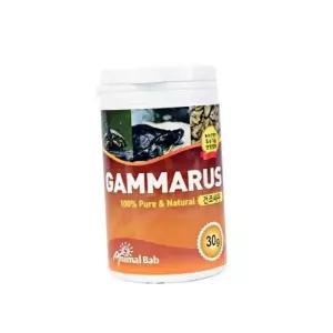 감마루스 구피밥 물고기먹이 거북이밥 구피사료 obt2+1fOW