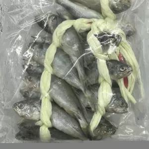 대한민국최저가 국내산 참조기 굴비 40미 득템찬스