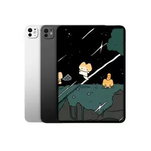 아이패드 프로 13 M4 WIFI 512G 스페이스 블랙