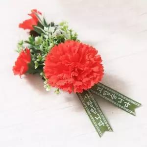 TBZ 카네이션 코사지 B 어버이날 스승의날 꽃 단체 선물