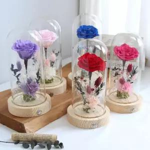 LED 유리돔 장미 무드등 프리저브드 플라워 선물용