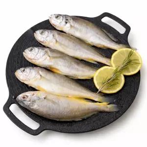 국내산 제주직송 로얄 참조기 10마리