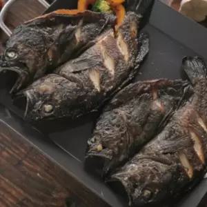 반건조 자연산 특대 우럭 1미