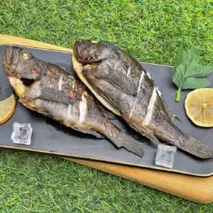 반건조 자연산 대 우럭 1미