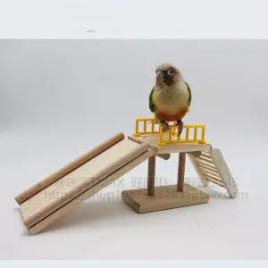 앵무새 새 장난감 미끄럼틀 훈련