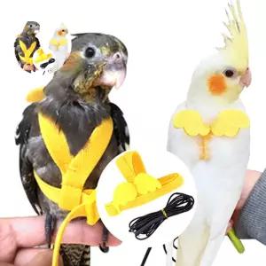 앵무새 반려새 하네스 발목링 산책 리드줄