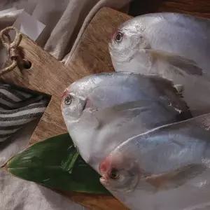 맛부장 국내산 손질병어 300g 3팩 (팩당 3~4미 내외)