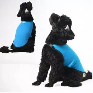 애견용 오투쿨링조끼