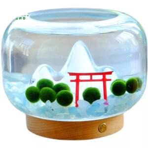 해수어 미니어항 룹통 구피키우기 베타 흰색 수조 어항 마리모 구피 해파리키우기 미니큐브