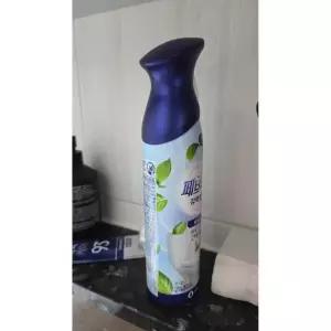 페브리즈 강력탈취 공기탈취제 화장실용 룸스프레이 방향제 프레시 가든 본품 165g 1개