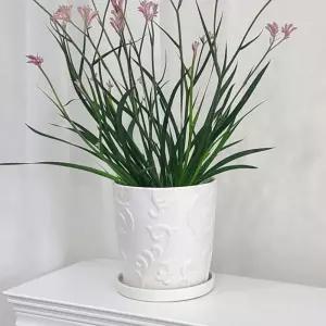 도기 화분 화이트무광 D15 인테리어 분갈이 화초흰색화분 원형도자기 실내 탁상용 관엽식물 무늬 사무실