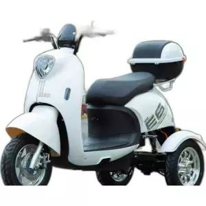 3발 전기스쿠터 3륜 오토바이 어르신 배달 소형 72V40A 140km