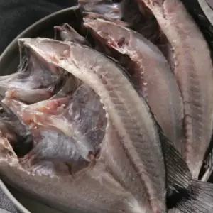 반건조 우럭 국내산 자연산 생선 손질 반건조생선 대 특대 1미