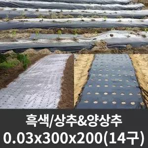 흑색 유공 멀칭비닐 상추/양상추 0.03x300x200 14구 (20x20) 유공 잎채소 멀칭비닐 농업용 농사용